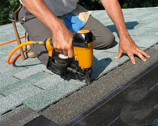 Best Metal Roofing Contractor  in Shenandoah, IA