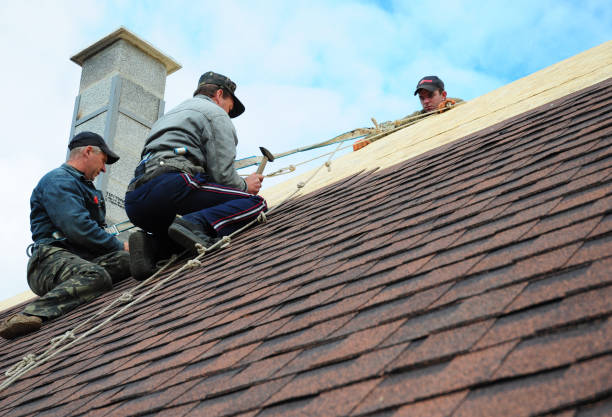 Best Metal Roofing Contractor  in Shenandoah, IA