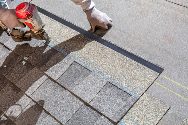 Best Roof Leak Repair  in Shenandoah, IA
